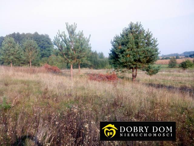 Działka sprzedam, IWANÓWKA,, 3000 m2, cena: 300 000 zł
