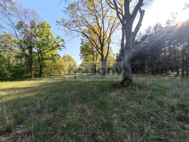 Działka sprzedam, JABŁONNA,, 1951 m2, cena: 699 000 zł