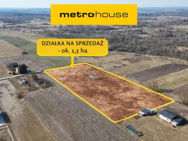 Działka sprzedam, Jagodnia, 12852 m2, cena: 600 000 zł