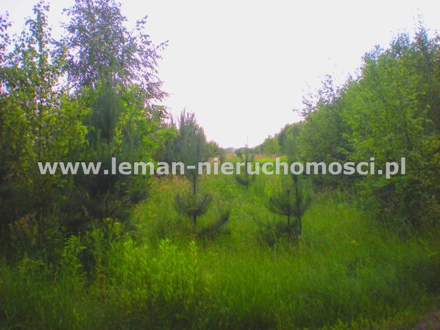 Działka sprzedam, Jankowa, Opole Lubelskie gw, 12100 m2, cena: 290 000 zł