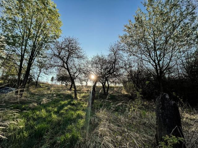 Działka sprzedam, Jerzmanowice Przeginia, Łazy, 2700 m2, cena: 425 000 zł