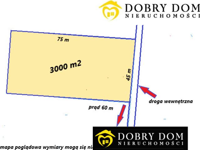 Działka sprzedam, KURIANY,, 3000 m2, cena: 300 000 zł