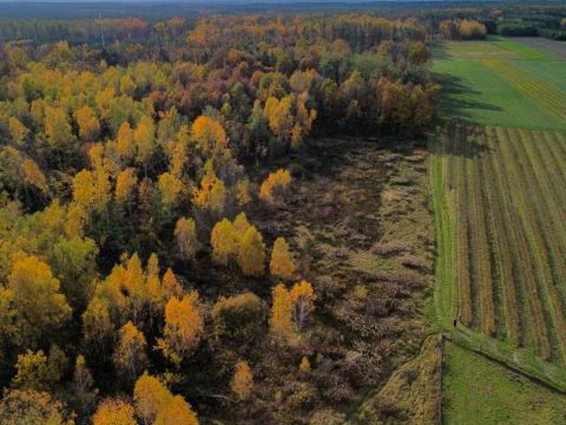 Działka sprzedam, Kuryłówka, 1598 m2, cena: 71 910 zł