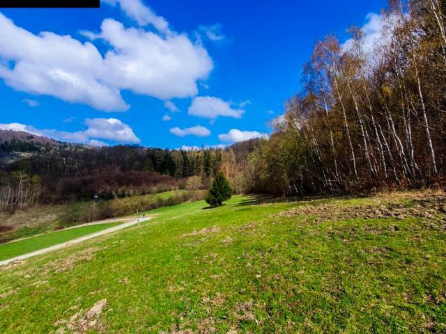Działka sprzedam, Kłodzko, Wilcza, 4247 m2, cena: 290 000 zł