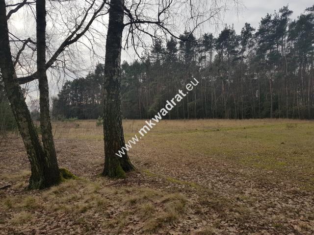Działka sprzedam, KALEŃ,, 2054 m2, cena: 329 000 zł