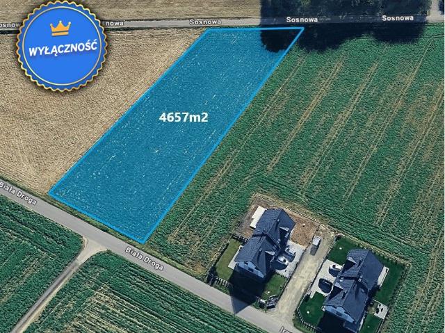Działka sprzedam, Kalinówka, Głusk gw, Sosnowa, 4657 m2, cena: 1 455 000 zł