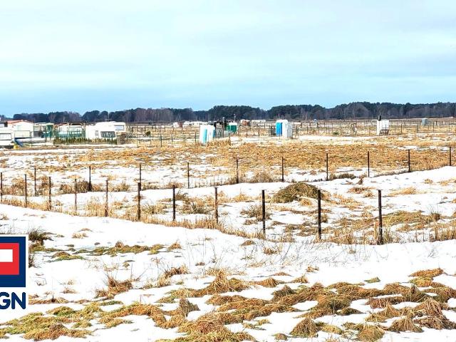 Działka sprzedam, Karwieńskie Błoto Drugie, Karwieńskie Błota, 1100 m2, cena: 80 000 zł