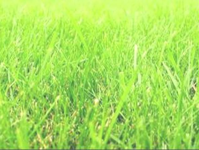 Działka sprzedam, Kliniska Wielkie, 1000 m2, cena: 200 000 zł