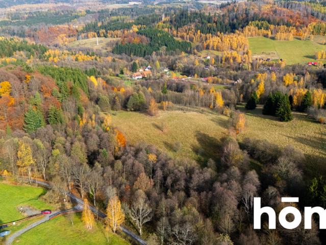 Działka sprzedam, KOCIOŁ,, 6400 m2, cena: 576 000 zł