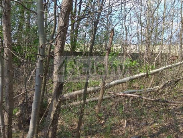 Działka sprzedam, KOBYŁKA,, 1759 m2, cena: 790 000 zł