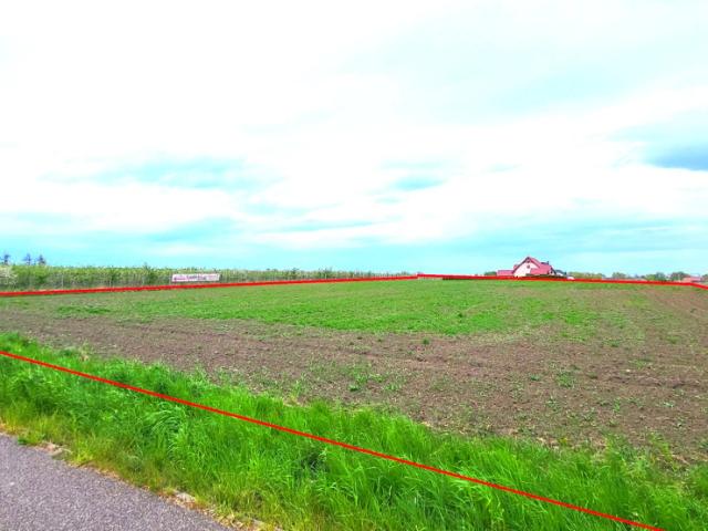 Działka sprzedam, Kolnik, Dwie Topole, 7721 m2, cena: 1 544 000 zł