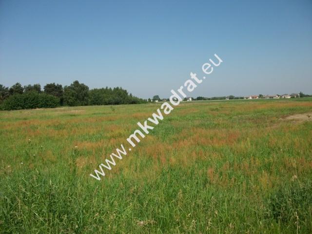 Działka sprzedam, KONSTANTÓW,, 3600 m2, cena: 360 000 zł