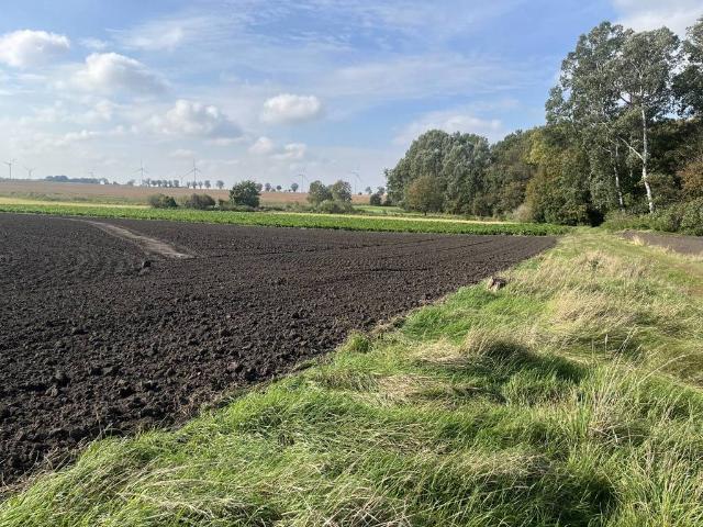 Działka sprzedam, KRUSZA ZAMKOWA,, 8182 m2, cena: 660 000 zł