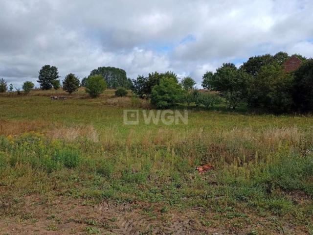 Działka sprzedam, Krzyżany, Krzyżany, Krzyżany, 4981 m2, cena: 200 000 zł