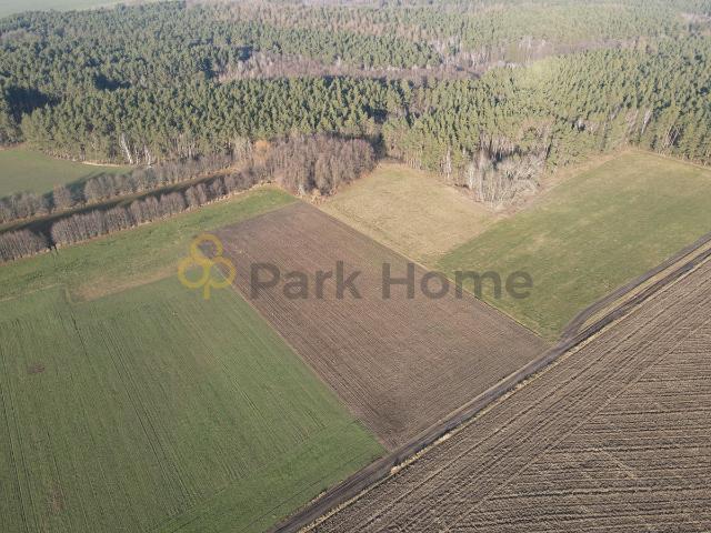 Działka sprzedam, Krzycko Wielkie, 12502 m2, cena: 179 000 zł