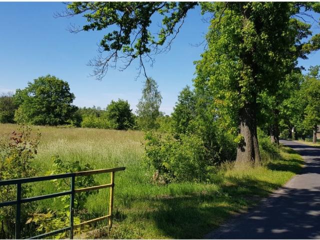 Działka sprzedam, Lubiechów, Lubiechów, Lubiechów, 34000 m2, cena: 350 000 zł