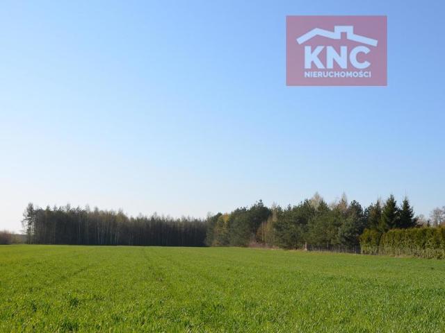 Działka sprzedam, LUBLIN, GŁUSK, Wygodna, 5730 m2, cena: 760 000 zł