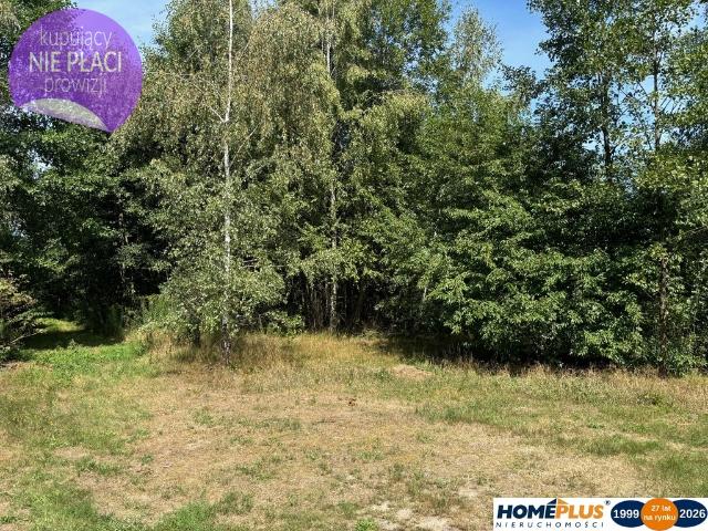 Działka sprzedam, LUDWINÓW,, 3566 m2, cena: 299 999 zł