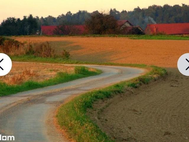 Działka sprzedam, Leśnica, Czarnocin, 929 m2, cena: 123 000 zł