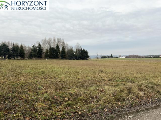 Działka sprzedam, LISEWIEC,, 1650 m2, cena: 425 000 zł
