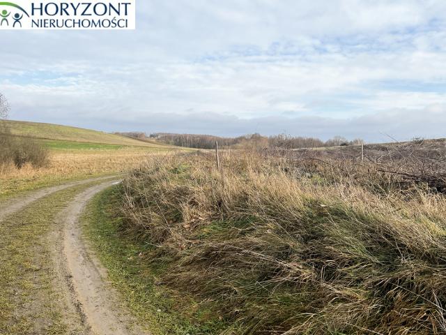 Działka sprzedam, LISEWIEC,, 1255 m2, cena: 208 000 zł