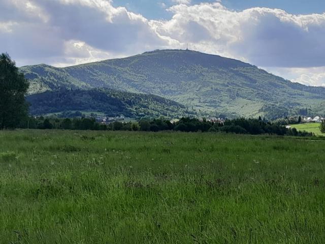 Działka sprzedam, Lipowa, Promienna, 968 m2, cena: 255 000 zł