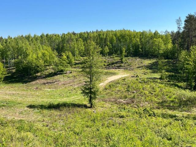 Działka sprzedam, Purda, w lesie nad jeziorem, 1227 m2, cena: 195 000 zł