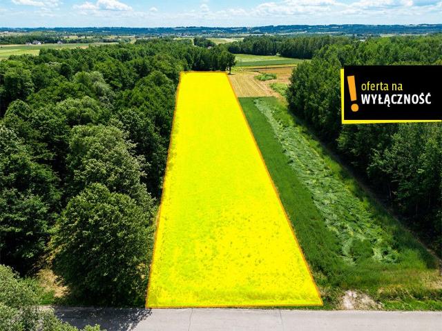 Działka sprzedam, Płucki, 6030 m2, cena: 130 000 zł