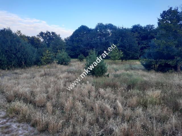 Działka sprzedam, PIEŃKI ZARĘBSKIE,, 3350 m2, cena: 385 250 zł