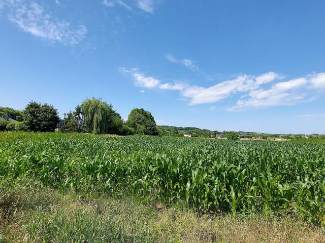 Działka sprzedam, Piekary Śląskie, Kozłowa Góra, Pod Gajem, 30931 m2, cena: 6 500 000 zł