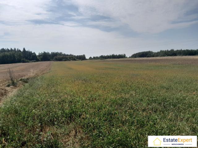 Działka sprzedam, Pierzchnica, 8100 m2, cena: 149 000 zł