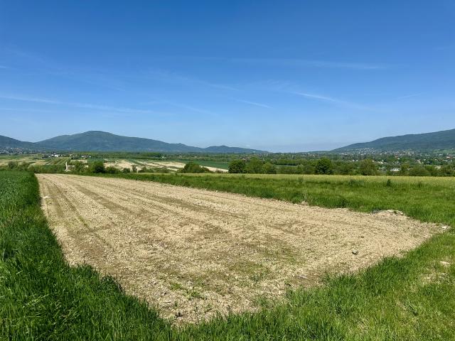 Działka sprzedam, PIETRZYKOWICE,, 2000 m2, cena: 170 000 zł