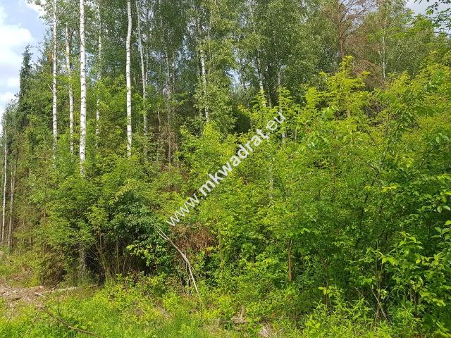 Działka sprzedam, PIOTRKOWICE,, 5000 m2, cena: 150 000 zł