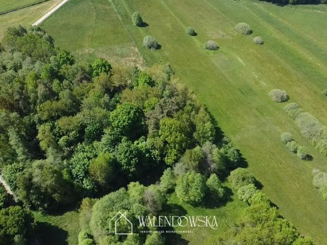 Działka sprzedam, PODOLE MAŁE,, 11100 m2, cena: 59 000 zł