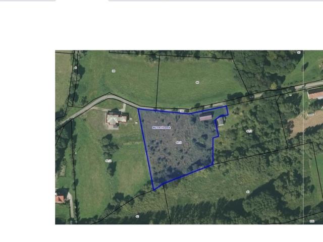 Działka sprzedam, PODZAMEK,, 7300 m2, cena: 355 000 zł