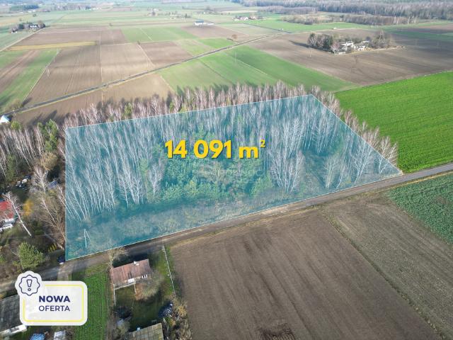Działka sprzedam, POKINIANKA,, 14091 m2, cena: 320 000 zł