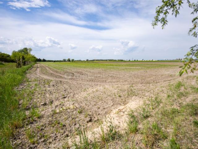 Działka sprzedam, Poznań, Pokrzywno, 6220 m2, cena: 2 301 400 zł