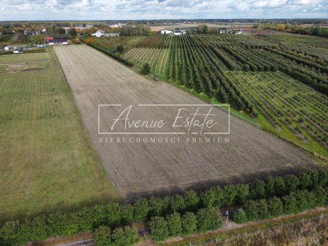 Działka sprzedam, Prażmów, 7363 m2, cena: 665 000 zł