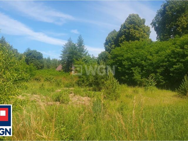 Działka sprzedam, Prabuty, Laskowice, Laskowice, 36900 m2, cena: 189 000 zł