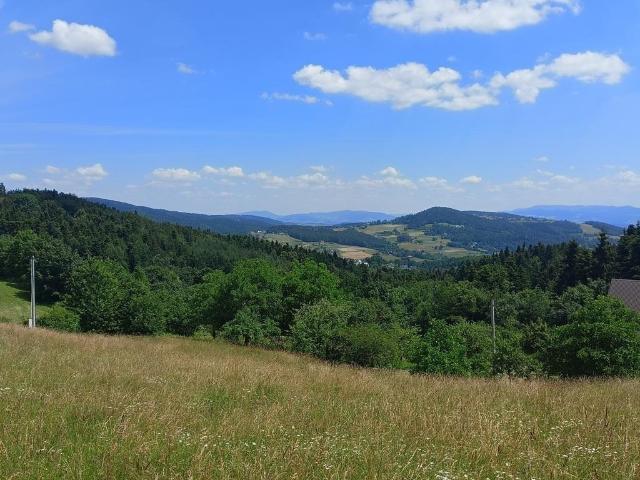 Działka sprzedam, Przyszowa, Łukowica, 5600 m2, cena: 450 000 zł