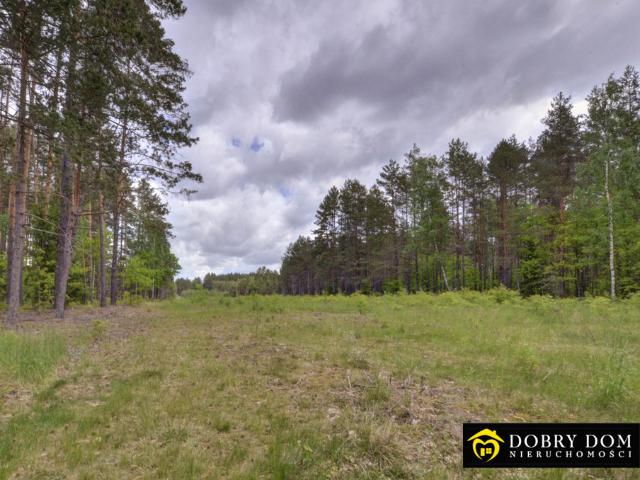 Działka sprzedam, RUDAWKA,, 18200 m2, cena: 350 000 zł