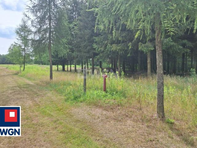 Działka sprzedam, Rydzów, Rydzów, 3012 m2, cena: 210 000 zł