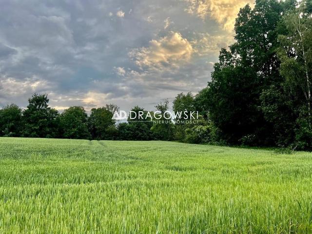Działka sprzedam, RZECK,, 7471 m2, cena: 380 000 zł