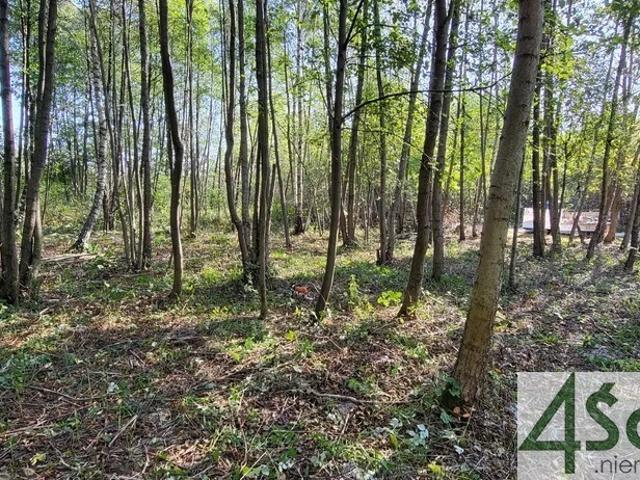 Działka sprzedam, RADONIE,, 1500 m2, cena: 442 500 zł