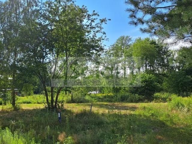 Działka sprzedam, RADONIE,, 3000 m2, cena: 1 050 000 zł