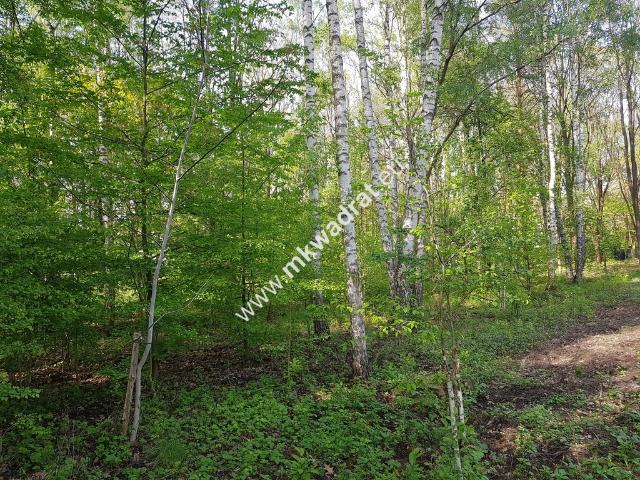 Działka sprzedam, RADONIE,, 3220 m2, cena: 440 000 zł