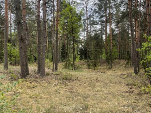 Działka sprzedam, RADZYMIN, REJENTÓWKA,, 2064 m2, cena: 350 000 zł
