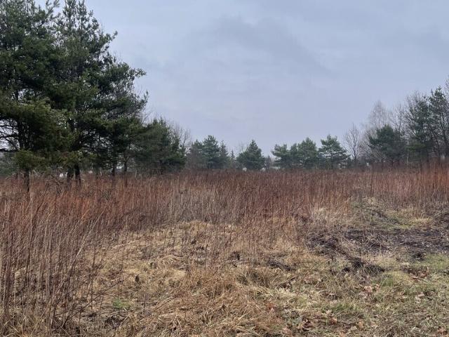 Działka sprzedam, RADZYMIN,, 2261 m2, cena: 590 000 zł