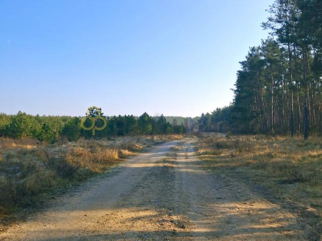 Działka sprzedam, Rajczyn, 1200 m2, cena: 75 000 zł