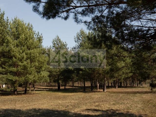 Działka sprzedam, RAJSZEW,, 1001 m2, cena: 425 425 zł
